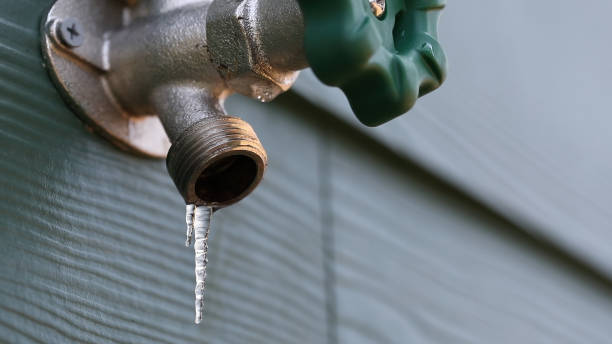 Best Plumbing Inspection Services  in Miami Lakes, FL